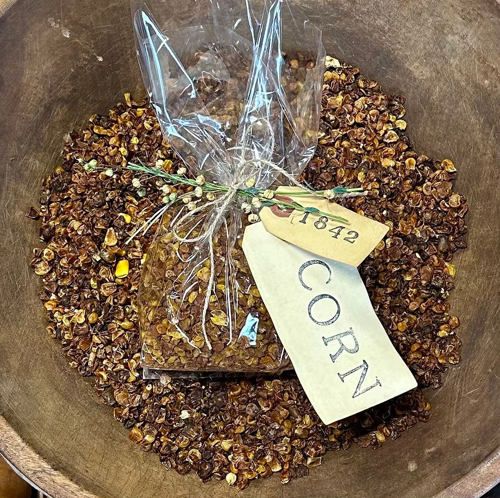 Thumbnail: NEW!  Early Cottonwood Dried Sweet Corn Bowl Filler
