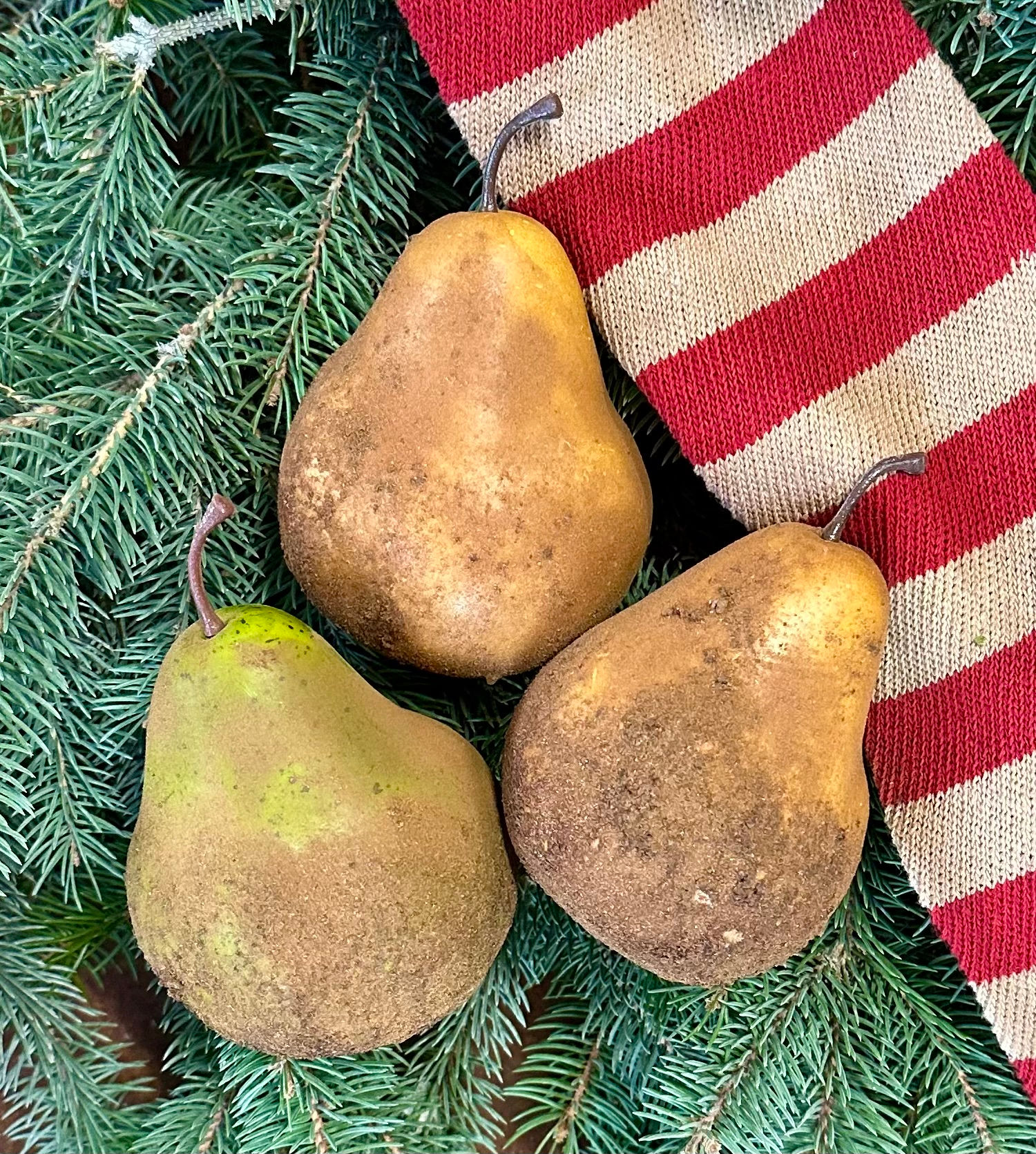 NEW!  Gloucestershire Spicy Pears