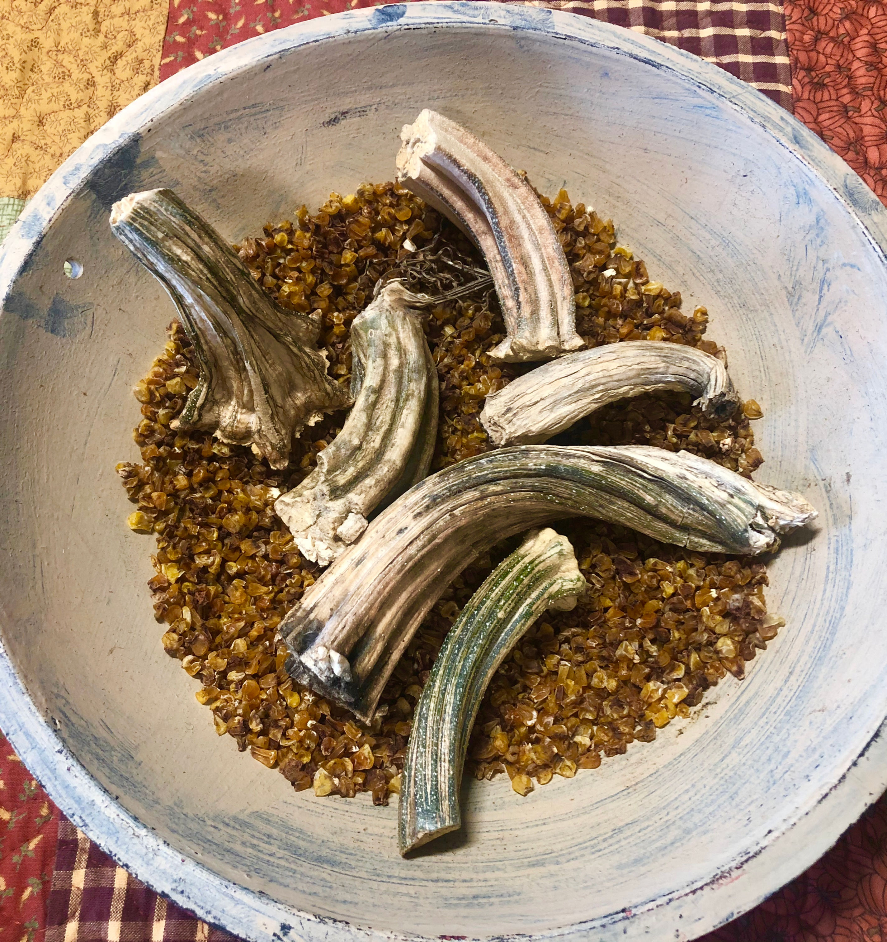 NEW!  "Cottonwood House Dried Pumpkin Stems"  Set H