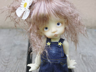 PATTY - preorder open