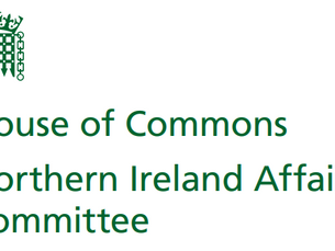 The experiences of minority ethnic and migrant people in Northern Ireland