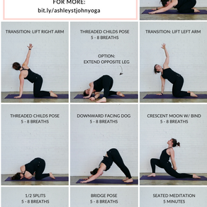 Yoga for Beginners 