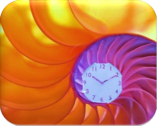 From the Editor’s Komplexerium – In my Time