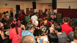 MAJDANPEK - WHISKERS