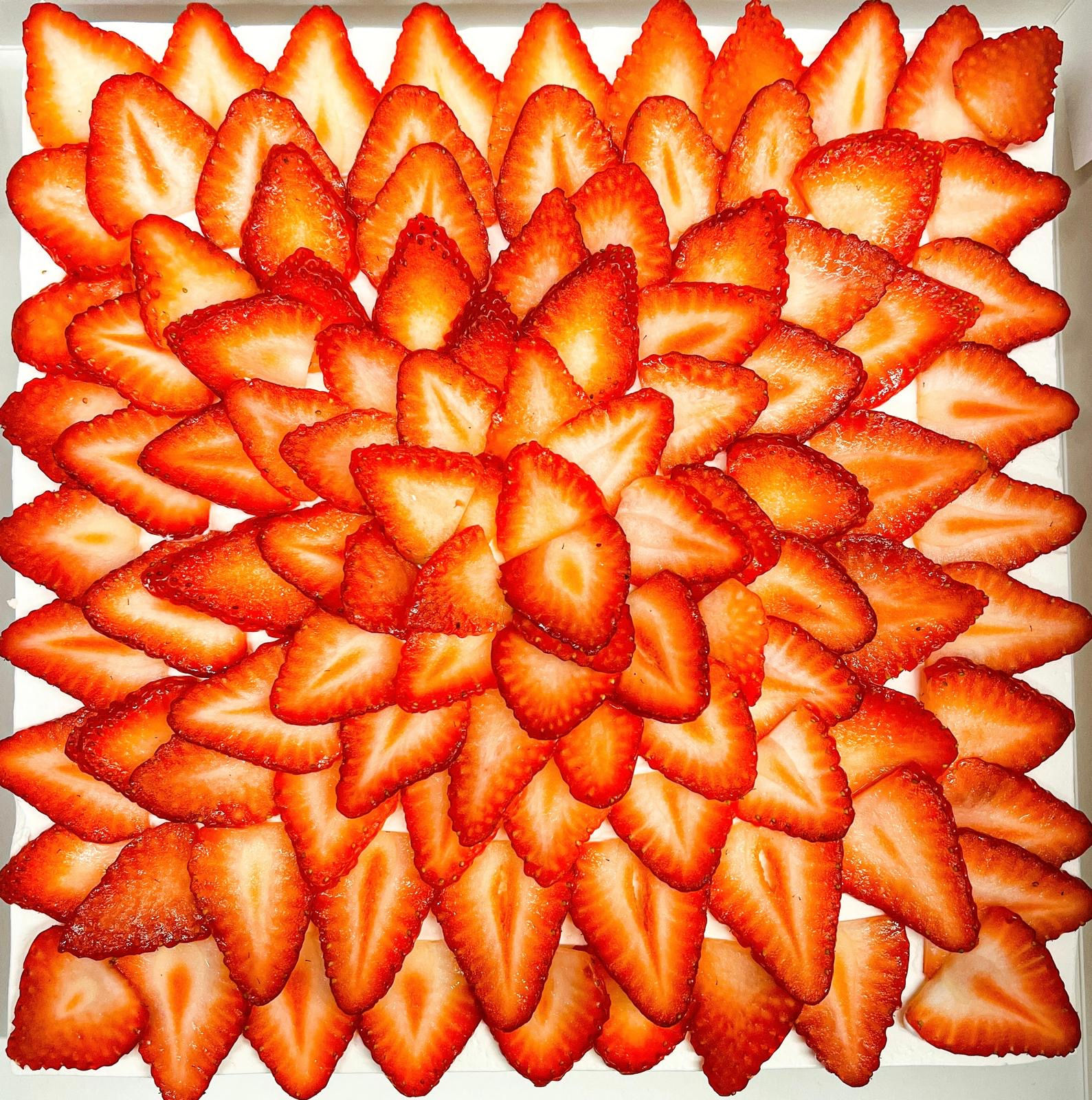 Pavlova