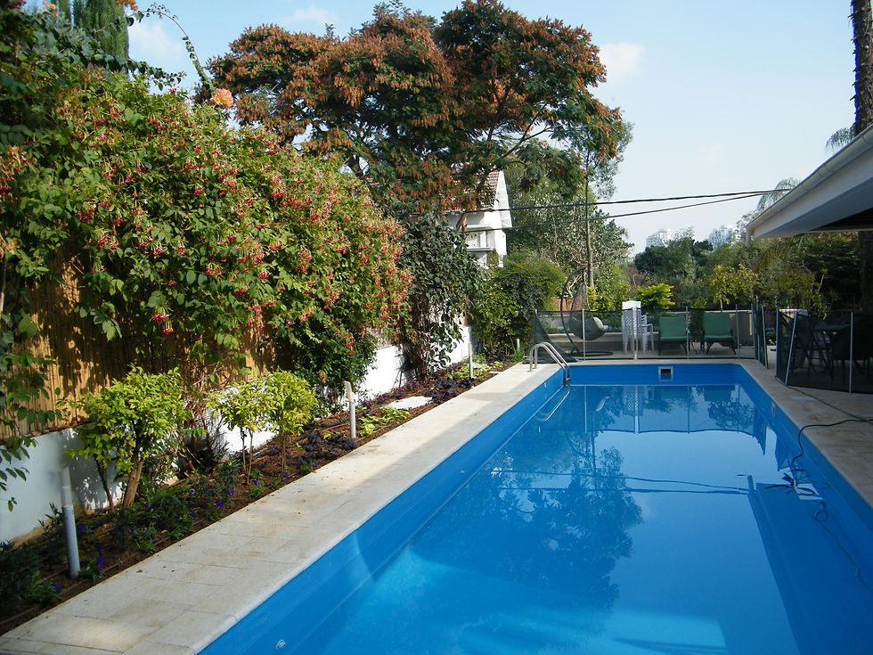 עצי נוי ליד בריכה