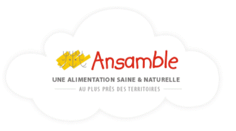 logo ansamble.gif