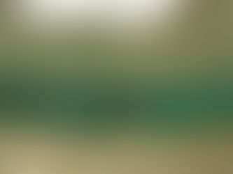 Saiba como agendar suas visitas às piscinas naturais em Fernando de Noronha