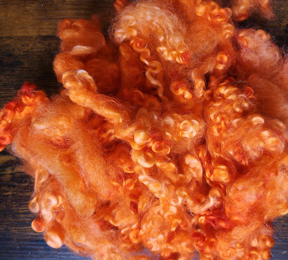 Thumbnail: Dyed Leicester Longwool locks