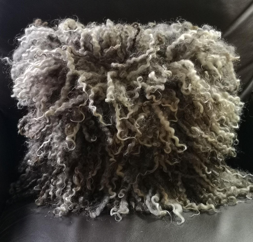 Thumbnail: Natural Leicester Longwool locks