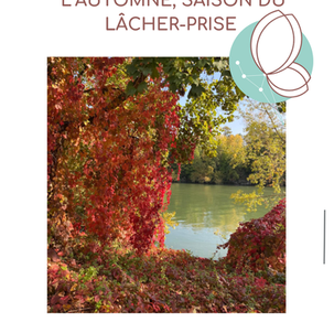 lacher prise, reflexologie, viroflay, versailles, PNL, stimulation, fatigue, équilibre