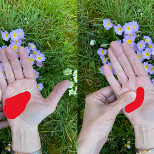 La réflexologie et le printemps : comment faire peau neuve naturellement ?