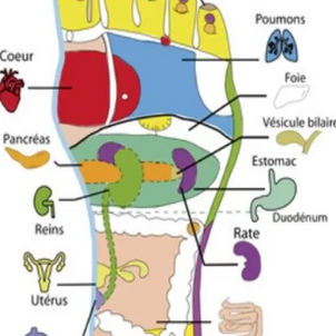 Décryptage de la réflexologie : comprendre au-delà de la cartographie