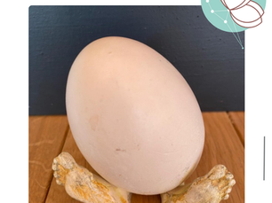 Œuf décoratif avec deux pieds posé sur une surface sombre, symbole de transition et de renouveau au printemps