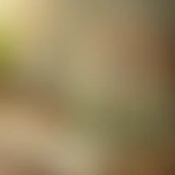 Pourquoi adopter un abonnement en réflexologie pour mieux vivre au quotidien ?