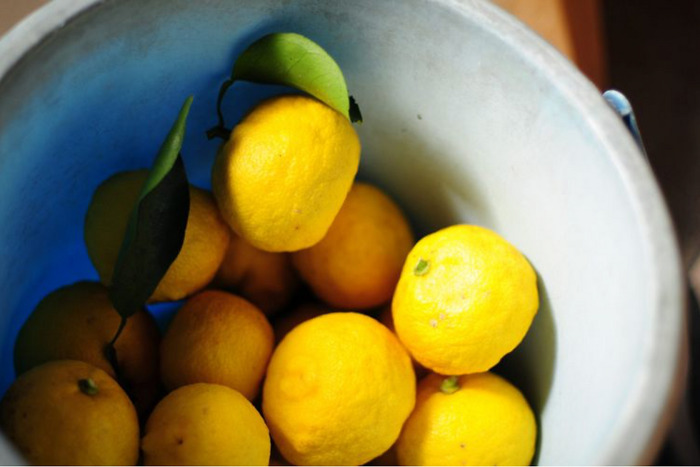 Why Yuzu Is Trending—and How to Use This Unique Fruit in Your Cooking