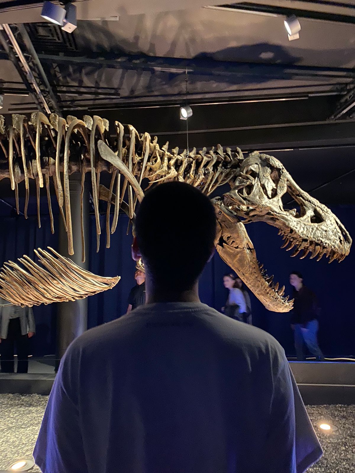 Vinicius from behind, looking at a T-Rex skeleton in a museum