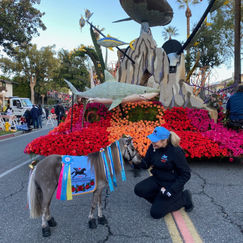 Mini Therapy Horse volunteer Natalie with horse Willow at the 2022 Rose Parade®.