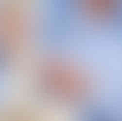 surgeon looking at spine model