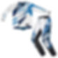 Alpinestars Techstar Kit Combo