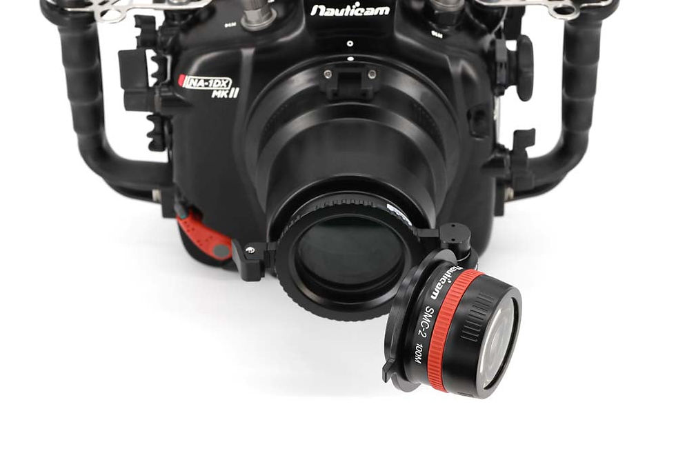 Thumbnail: Super Macro Convertor 2 (4x Magnification)