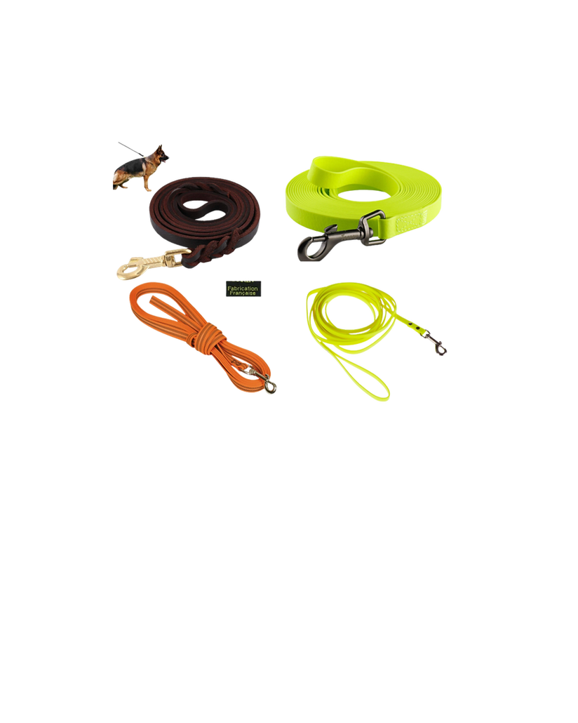 Design sans titre (16).png