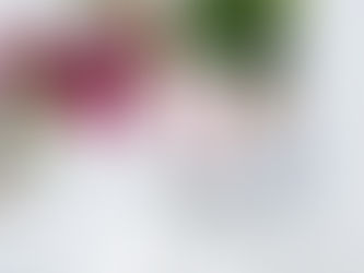 Cose da fare a Mykonos un 1 giorno