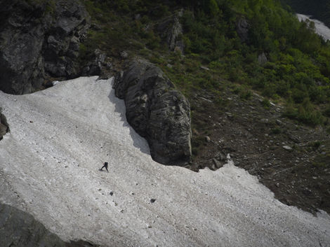 Understanding Mountain Grassland Resilience in Kinnaur