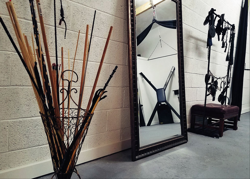 Dominatrix Caning