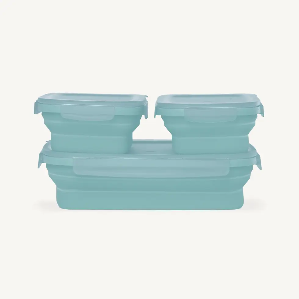 Secondz Collapsible Food Storage