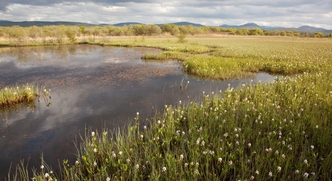 Taking care of our Wetlands and Rivers using Nature Based Solutions