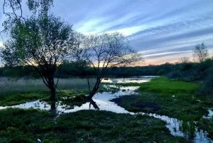 Tour of Unstead Wetland Nature Reserve