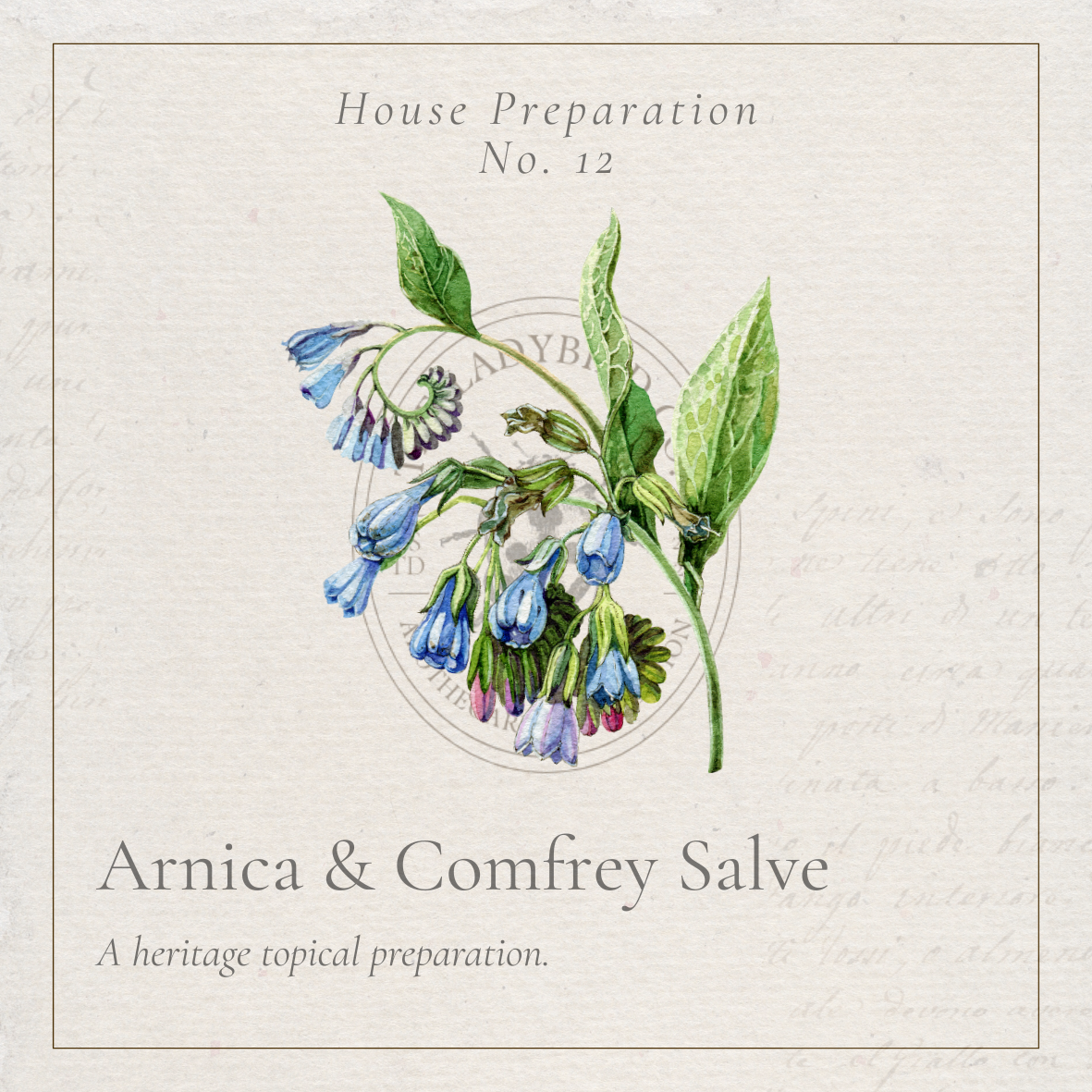 Arnica & Comfrey Salve