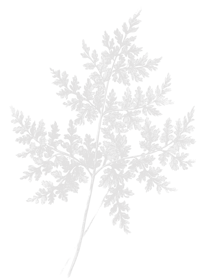 Contact (4)_edited.png