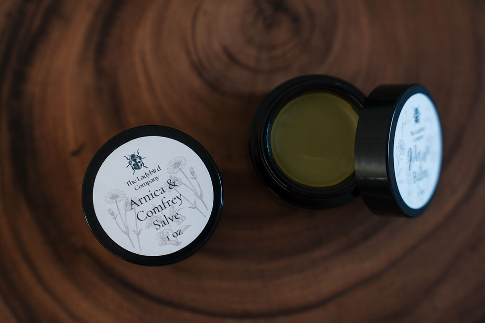 Thumbnail: Founding Collection Salves