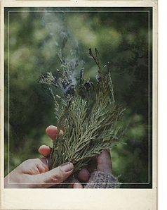 Juniper smoke cleanse