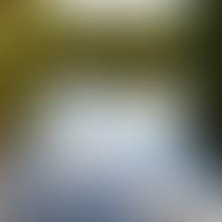 Watertown's Environmental History