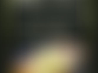 冷凍餃子セール中!!