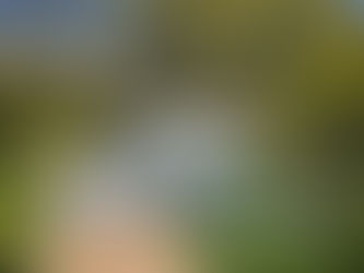 Just bought! Berkeley Vale