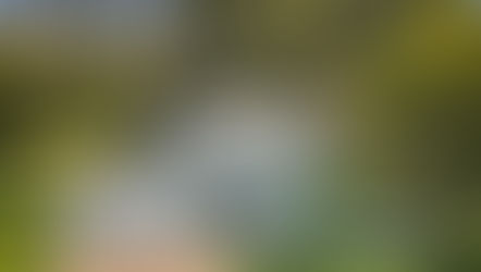 Just bought! Berkeley Vale