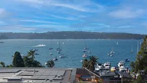 Just bought! Elizabeth Bay