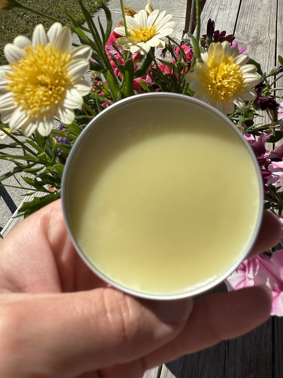 Thumbnail: Tallow & Calendula Balm