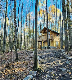 Treehouse 2_edited.jpg