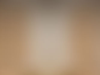 Define Your Prestige: Precious Collection @WALTZ Siam Paragon