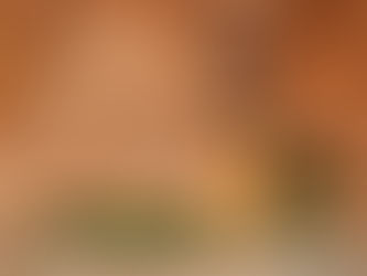 Plantain: A Versatile Herb with Health Benefits, Growing Tips, and a DIY Tincture Recipe