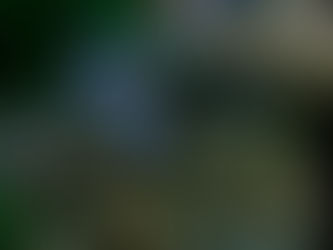 What’s This About Cybersecurity in the Defense Bill?