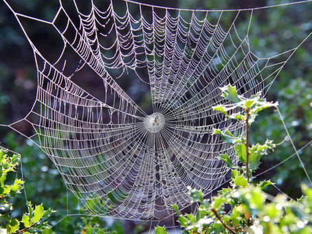 Scattered Spider Skitters Back Onto Scene