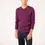 Miniature : Pull col V Cuirassé Prune