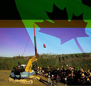 Teleforest cable logging system steep slope forestry equipment