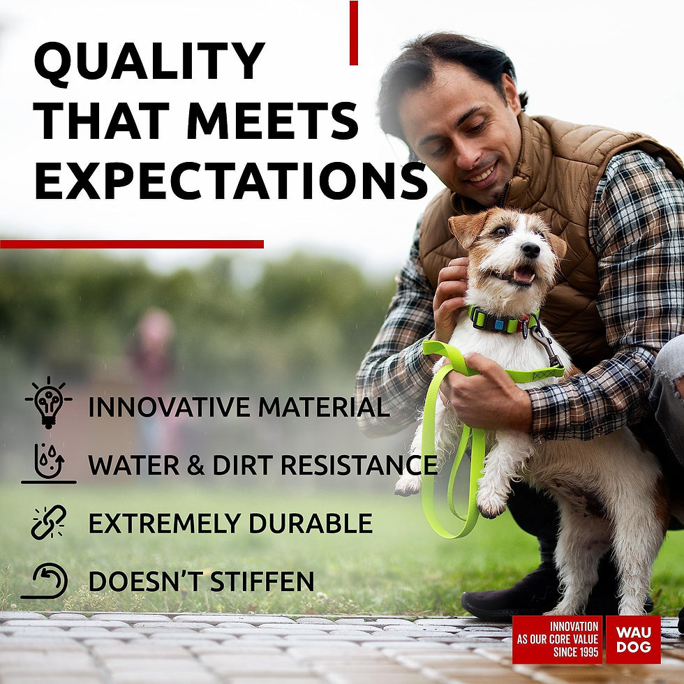 Thumbnail: Waterproof Dog Collar Adjustable Dog Collar 914 in Neck x 3/5 in Wide